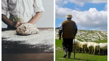 Povestea unui brutar român care a ajuns cioban în Spania. Avea un salariu de cinci ori mai mare decât în țară