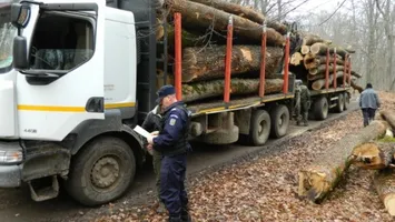 Ministrul Mediului anunţă actualizarea aplicaţiei SUMAL, care împiedică furtul de lemne