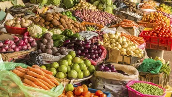 Cât vor plăti românii pe legume după semnarea acordului Mercosur. Fermierii români spun că acest acord reprezintă sfârşitul agriculturii europene