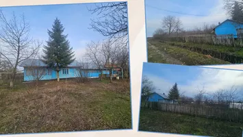 Unde poți cumpăra o casă cu 9.800 de euro în România. Terenul are 2.200 de metri pătrați