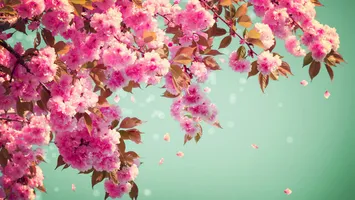 Prognoza meteo martie 2026. ANM anunţă că primăvara este punctuală în acest an