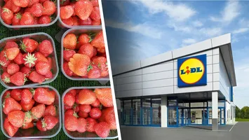Angajat Lidl, concediat după ce a vrut să fure căpșune de 30 de lei, în Spania. Bărbatul câștiga un salariu lunar de aproximativ 1.500 de euro