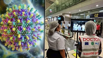 Simptomele care indică infectarea cu virusul Nipah din India. Sfaturile specialiștilor: „Consultați un medic dacă prezentați simptome precum febra”