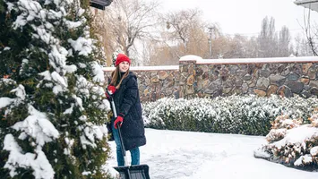 Nu arunca zăpada din curte, după ninsorile abundente! Trucul ieftin prin care îți protejezi pomii și pregătești solul pentru o primăvară roditoare