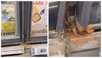 VIDEO Fost director la Protecția Consumatorilor, șocat de ce a găsit în magazine din Franța. ”Dacă nu de la cei mai buni, de la cine să învățăm?”