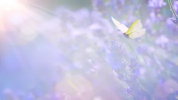 Horoscop aprilie 2026. primăvara vine cu răsturnări subtile, dar decisive. Ce EVENIMENTE astrale ne pot schimba viața în această lună?