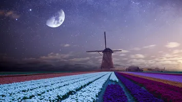 4 ZODII atrag NOROC şi abundenţă până la finalul lui APRILIE 2026. Cine sunt favoriţii astrelor în această perioadă