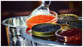 Ferma care produce primul sortiment de caviar ecologic din Europa. Un kilogram poate costa până la 8.000 de euro