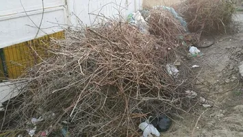 Curățenie de primăvară, fără foc. Ce riști dacă arzi resturi vegetale de la pomi sau vița de vie