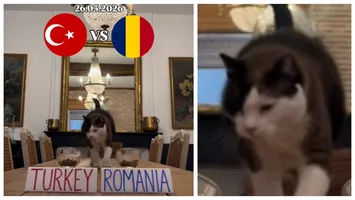 VIDEO Turcia-România, meci decisiv la Istanbul! Cu ce scor se va termina partida, potrivit celebrului motan prezicător Nimbus