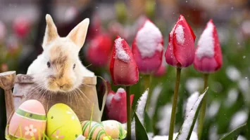 Unde va ninge de Paște. Prognoza oferită de meteorologii Accuweather indică fenomene meteo mai puțin obișnuite