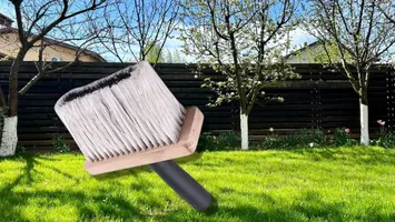 Când și cum să văruiești pomii fructiferi, pentru protecție maximă. ”Secretul” care mărește eficiența pe termen lung