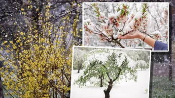 Avertizare meteo. Vremea schimbă foaia în Săptămâna Mare. Sunt anunțate ploi, vânt puternic și ninsori. Va ninge inclusiv în București