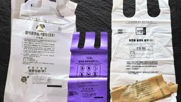 De ce sunt raționalizați sacii de gunoi în Coreea de Sud: efectele crizei petrolului din Orientul Mijlociu