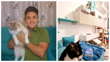 Pisicile, stăpâne în casa lui Mihai Trăistariu! Cum arată locuința artistului, după ce a amenajat-o după dorințele și nevoile felinelor. ”Nu mai e de mult casa mea!”