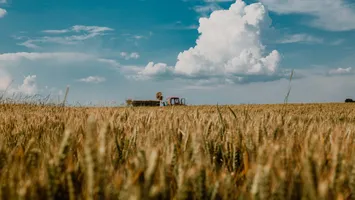 Meseria care se plătește cu până la 10.000 de lei, dar românii fug de ea: „Ultimul a venit și a stat jumătate de zi”