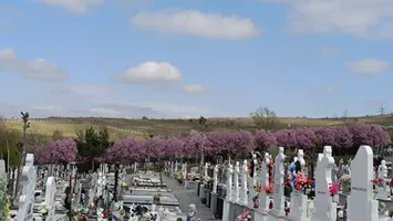 Bătrâni înșelați cu zeci de mii de lei de un individ care le promitea amenajări la locurile de veci. Banii – încasați, lucrările – aleluia!