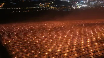 VIDEO Suma imensă investită de un agricultor pentru a-și salva recolta. 40.000 de euro ”arși” într-o singură noapte într-o livadă de cireșe