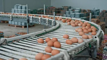 Preţul ouălor a crescut deja cu mai mult de o treime peste media ultimilor ani, iar în unele zone se văd primele semne de penurie