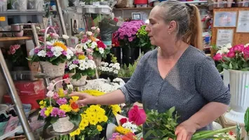 Câți bani primesc pe lună florăresele de la Magnolia, Floria, Iris, Maison d’Or, OK Flora si Florăria Magheru. Cine plătește mai bine în 2026