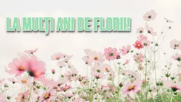 Nume sărbătorite de Florii 2026. Ce români își serbează onomastica și ce semnificație au cele mai populare nume de flori