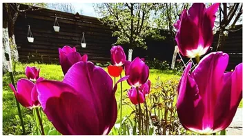 Temperaturi de vară în weekend, apoi revin ploile. Alertă meteo cod galben de la ANM