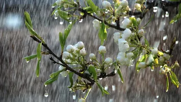 Prognoza meteo. Temperaturile scad în week-end. Care sunt zonele zonele unde va ploua