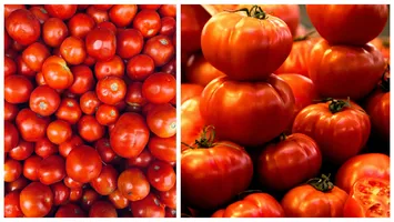 Cât costă roșiile românești la producător și la ce preț ajung pe tarabele din piețe. ”Cererea este mai mare decât oferta”