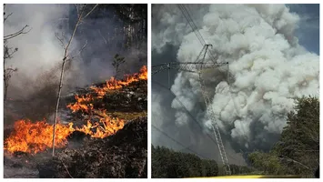 Cod roșu la Cernobîl! Incendiu puternic în zona ce înconjoară centrala nucleară și teritoriile puternic contaminate după dezastrul din 1986!