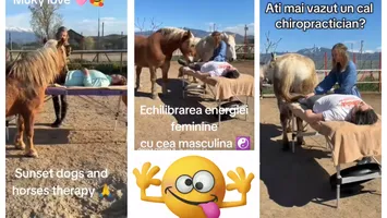 Industria calului înfloreşte pe TikTik. Cum să faci bani cu terapie craniosacrală „la coada calului”. Se vindecă relaţiile dacă te laşi abandonat în „vastitatea Fiinţei tale”!