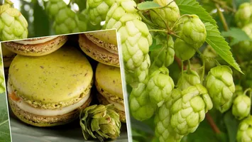 Cea mai scumpă plantă din lume, folosită la prepararea mâncărurilor servite în restaurante de lux din Franța și Belgia, crește, în România, pe marginea drumului