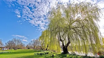 Val tropical după ninsori și îngheț. Temperaturile vor depăși 25 de grade în mai multe zone. Prognoza meteo ANM în perioada 4-31 mai 2026