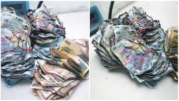 Unde poți schimba gratuit bancnotele deteriorate în România. BNR și băncile comerciale sunt obligate să le înlocuiască