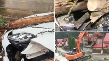 Vremea rea a făcut prăpăd în România. Copaci căzuți peste mașini, două victime la spital / Oamenii sunt disperați, furtunile le-au distrus munca de-o viață