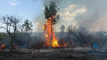 Incendiu violent în Mehedinţi, flăcările se apropie de case