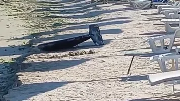 O nouă alertă la malul Mării Negre. Un fragment de dronă a fost adus de valuri la ţărm în Olimp