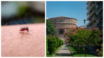 Alertă de West Nile într-o țară unde merg în vacanță mulți români! Zeci de cazuri noi pe săptămână, nouă oameni decedați