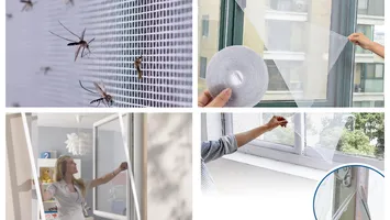 Ai plase la ferestre, dar insectele tot bâzâie când e somnul mai dulce? Greşelile care îţi aduc oaspeţi nepoftiţi în casă
