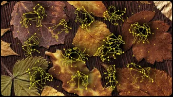 Horoscop 29 septembrie 2026. Cadou neașteptat pentru o zodie