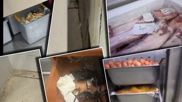Imagini dezgustătoare din bucătăria hotelului din Saturn în care aproape 60 de turiști au acuzat stări de rău. Persoanele spitalizate își vor primi înapoi banii pe sejur. VIDEO