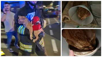 Doi români se află în stare gravă după ce apartamentul din Bergamo în care locuiau a explodat. Pompierii au salvat pisica cuplului de sub dărâmături la două zile de la incident