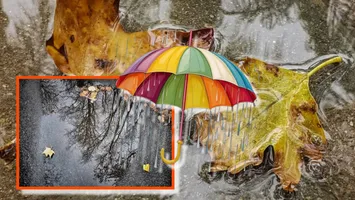 Prognoza ANM. Gata cu vara din octombrie, scad temperaturile, vine bruma, iar ploile cer în fiecare zi umbrele