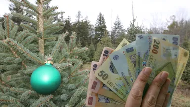 Sărbători 2022. Românii vor scoate mai mult din buzunar pentru bradul de Crăciun. Iată care sunt motivele