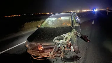 Accident grav la Iaşi. Un Volkswagen a spulberat o căruţă. O persoană şi calul au murit pe loc