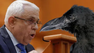 După cormorani, Petre Daea vrea acum să omoare ciorile, pentru că distrug culturile. Specialiştii avertizează că aceste păsări sunt protejate la nivel european