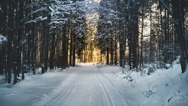 Ninsori în România în ianuarie 2024. Când revine iarna în București, ce spun meteorologii