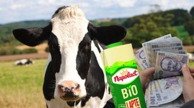 Prețul laptelui lovește portofelele românilor! Cât o să coste în 2023?