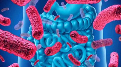 Din ce cauze apare infecția cu Clostridium difficile și cum se tratează? Prof. dr. Evelina Morar: „Infecția este atât de rezistentă, încât s-a ajuns să necesite transplant de microbiotă” - VIDEO