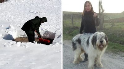 Cine este româncă găsită înghețată în zăpadă, alături de trei dintre câinii ei, în Italia
