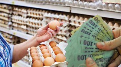 ALERTĂ NAȚIONALĂ! Românii riscă să nu mai poată cumpăra ouă!